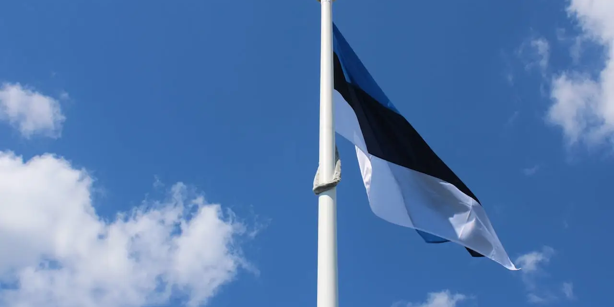 The Estonian Phone Number Your e-Residency Company Still Needs (Now That Skype Is Gone)