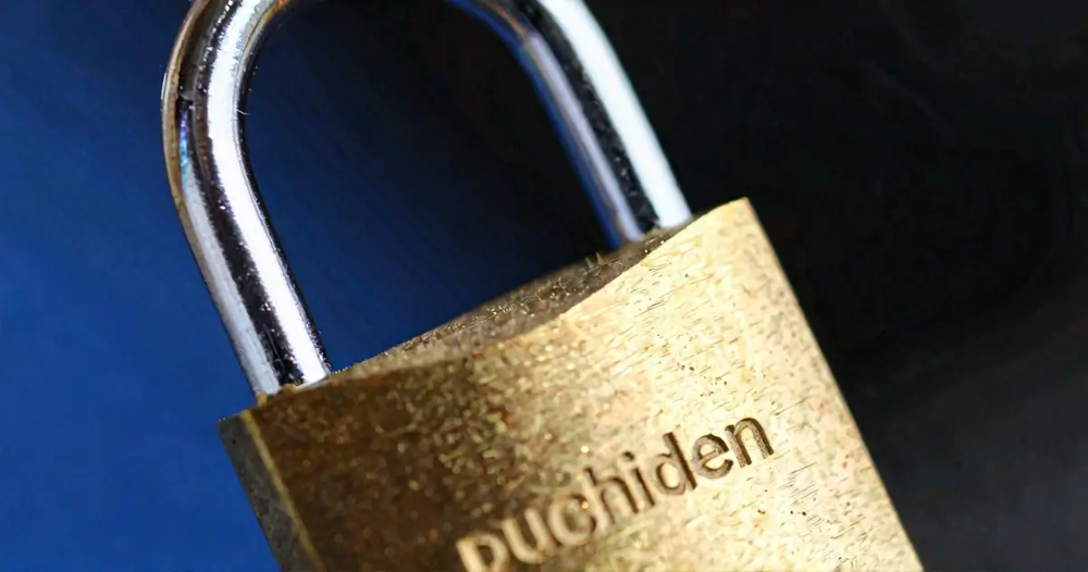 Puchiden Security Brass Padlock